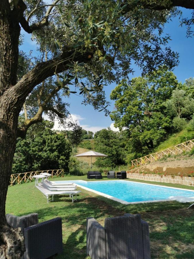 Apartment In Luxuryproperty Privatepool Garden Bbq Airc X8 Castelnuovo Di Porto Ngoại thất bức ảnh