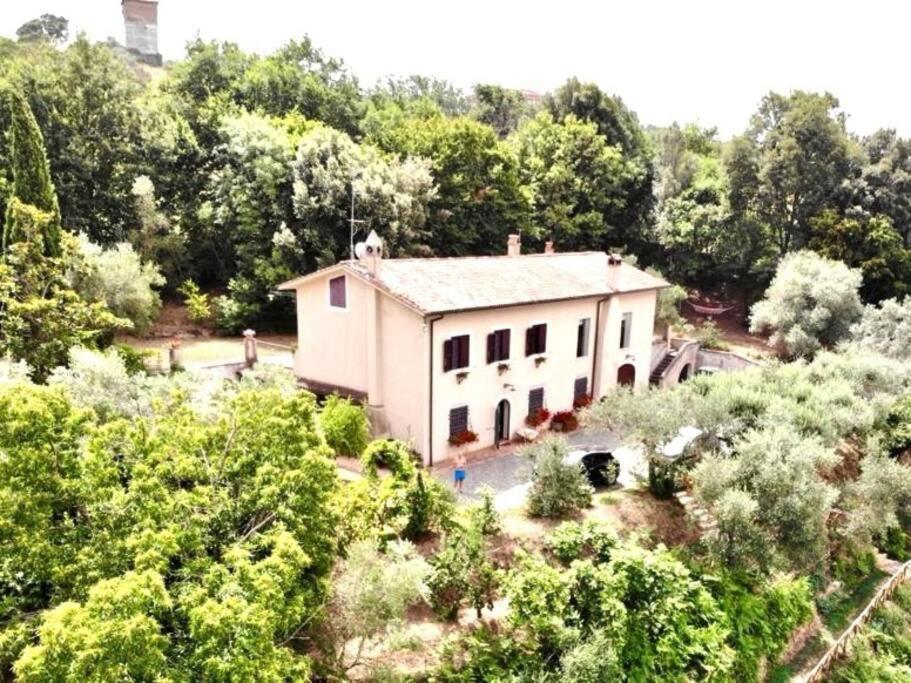 Apartment In Luxuryproperty Privatepool Garden Bbq Airc X8 Castelnuovo Di Porto Ngoại thất bức ảnh